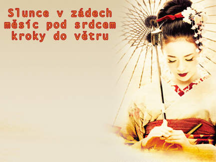 vizitka